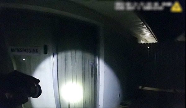 The Perfect Neighbour