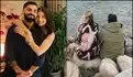 'You are the light to our world' - Virat Kohli celebrates Anushka Sharma's birthday with candid photos and heartwarming message
