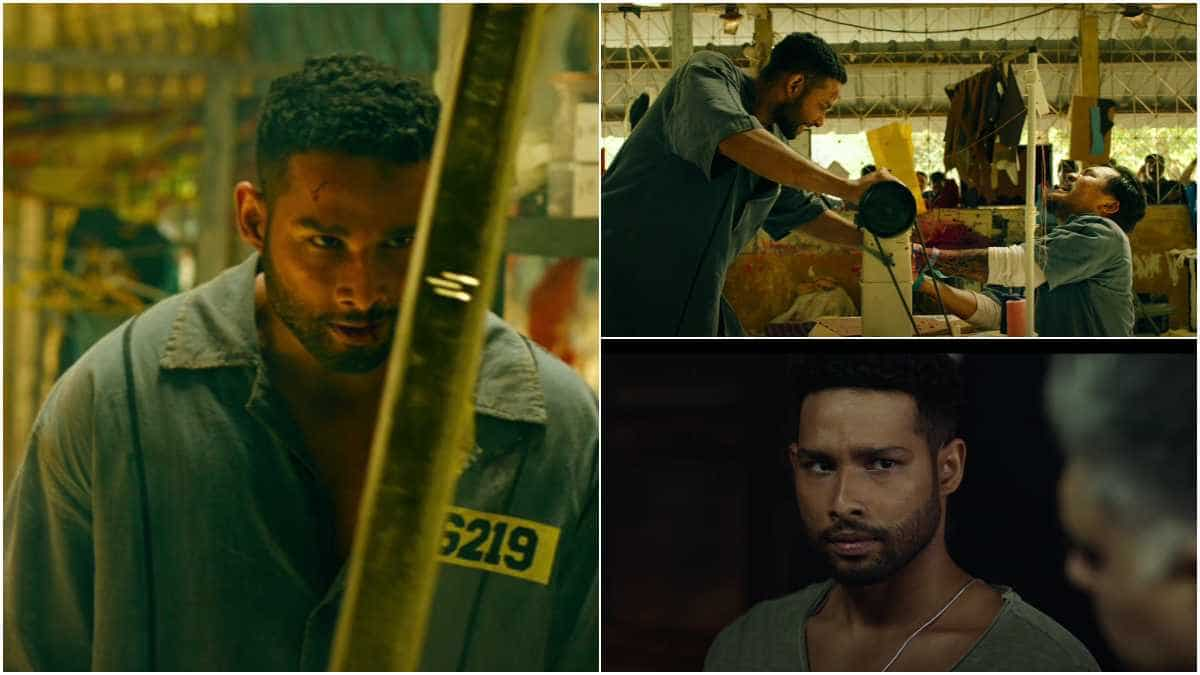 Yudhra trailer: Siddhant Chaturvedi unleashes his inner action hero; goes all guns blazing | Watch