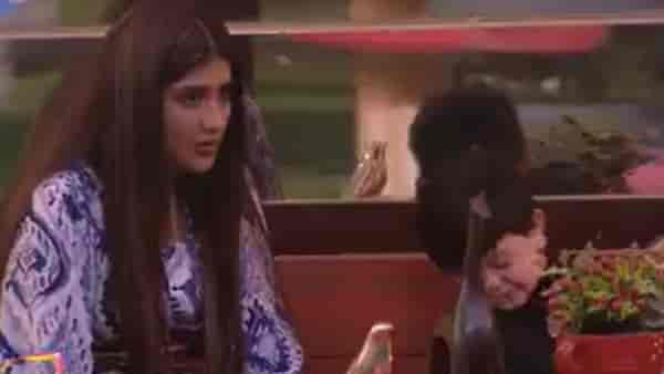 Bigg Boss 16 November 03, 2022 Highlights: Gautam Singh Vig-Shalin Bhanot indulge in HUGE fight, Abdu Rozik is the new captain