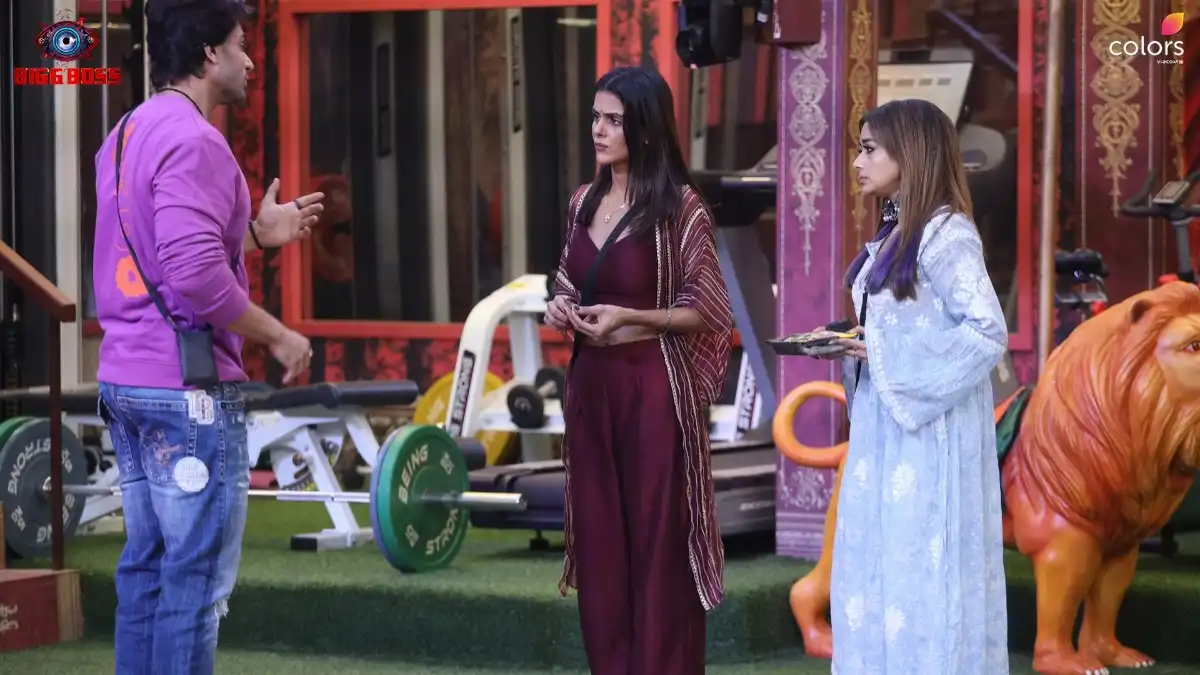 Bigg Boss 16 January 26 Written Update: Shalin Bhanot once again accuses Tina Datta of playing the 'victim card'