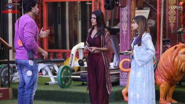 Bigg Boss 16 January 26 Written Update: Shalin Bhanot once again accuses Tina Datta of playing the 'victim card'