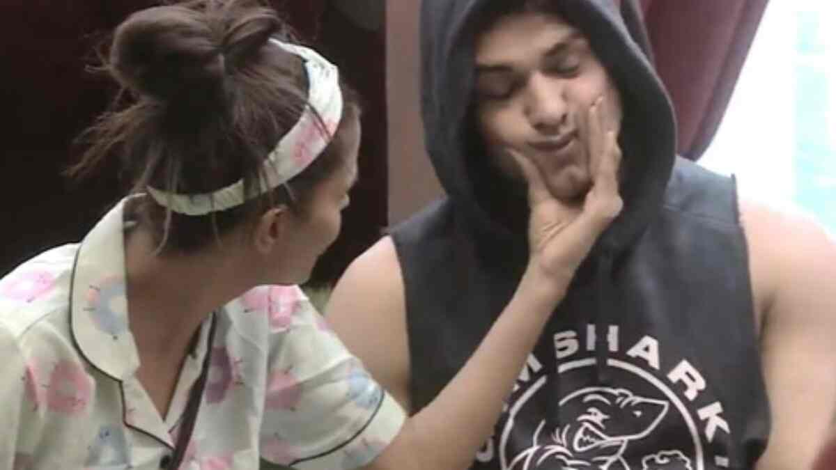 Priyanka Chahar Chaudhary wants a future: Bigg Boss 16 contestant Ankit Gupta FINALLY clarifies his relationship status