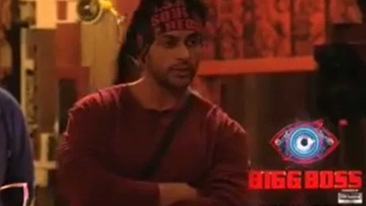 bigg boss 16 sumbul eviction