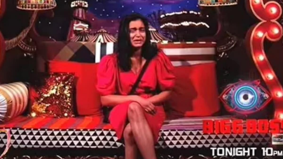 Bigg Boss 16 December 22, 2022 Highlights: Sajid Khan calls Sumbul Touqeer Khan boring, she rebels