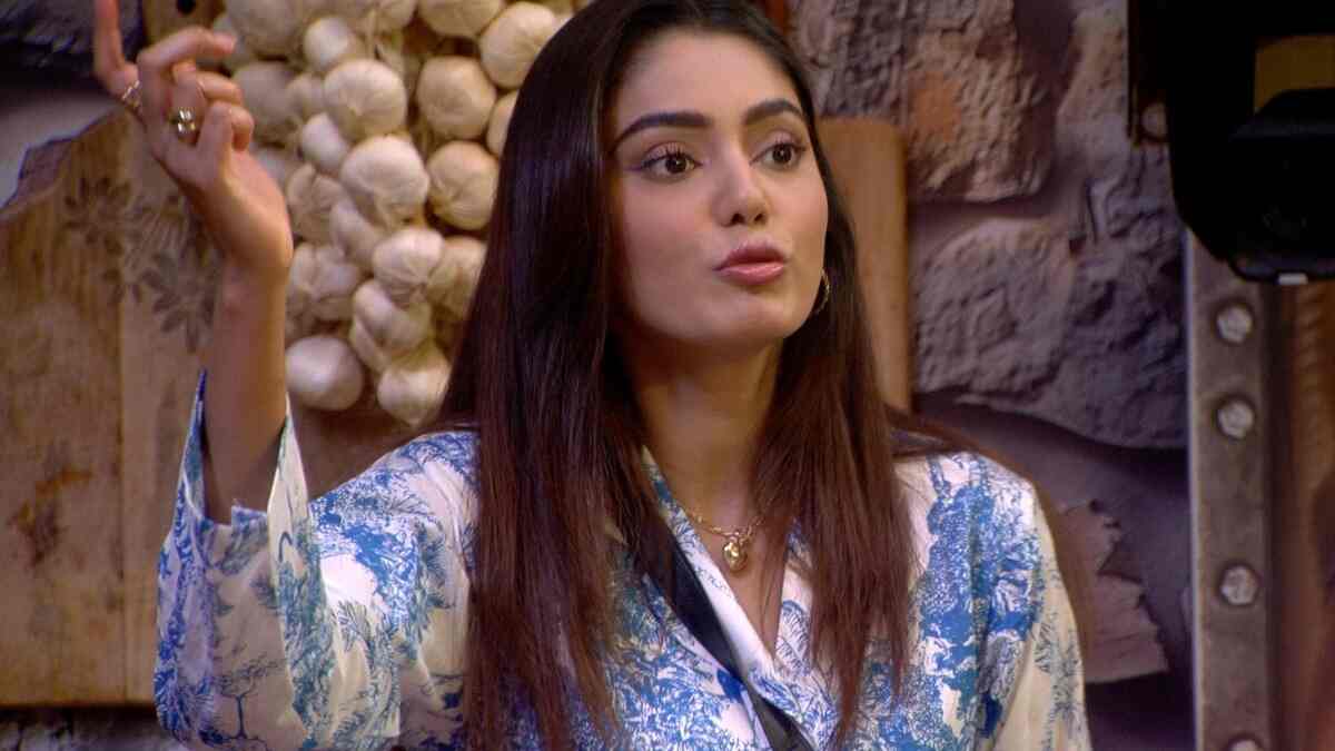 Bigg Boss OTT 3 – Adnaan Shaikh and Vishal Pandey fired as bahaarwala, Sana Makbul out minutes after getting the responsibility