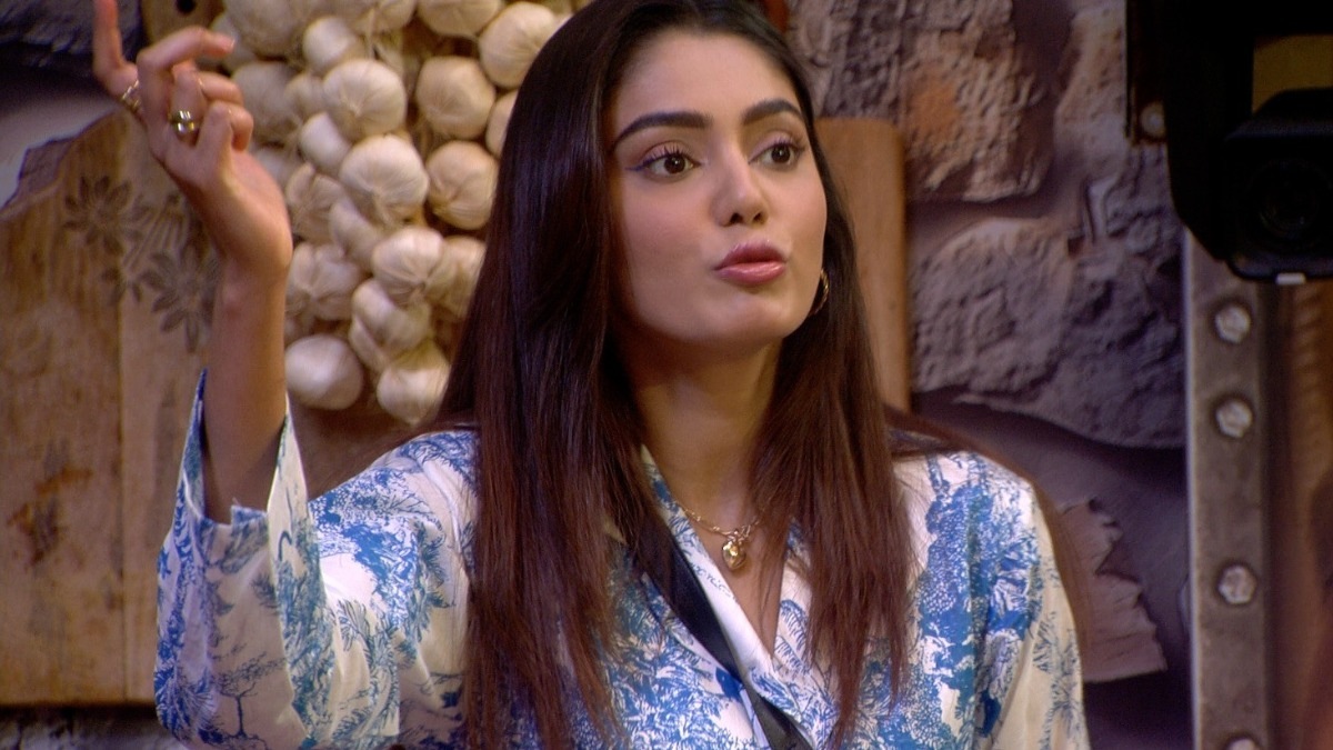 Bigg Boss OTT 3 – Adnaan Shaikh and Vishal Pandey fired as bahaarwala, Sana Makbul out minutes after getting the responsibility