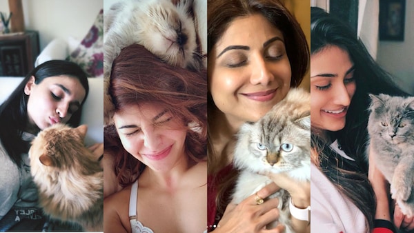 International Cats Day: Check out these Bollywood celebrities and their paw-some friends
