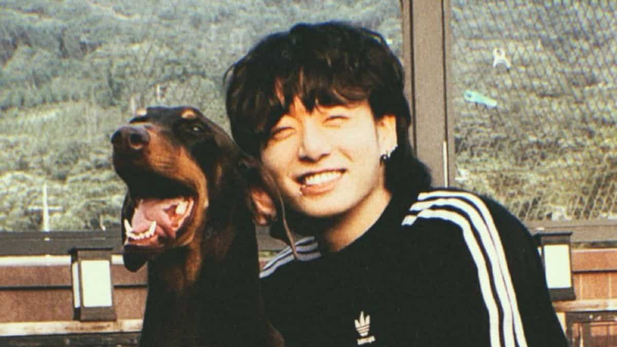 https://www.mobilemasala.com/film-gossip/BTS-Jungkook-creates-Instagram-for-his-dog-Bam-ARMY-gets-hyped-up-i254011