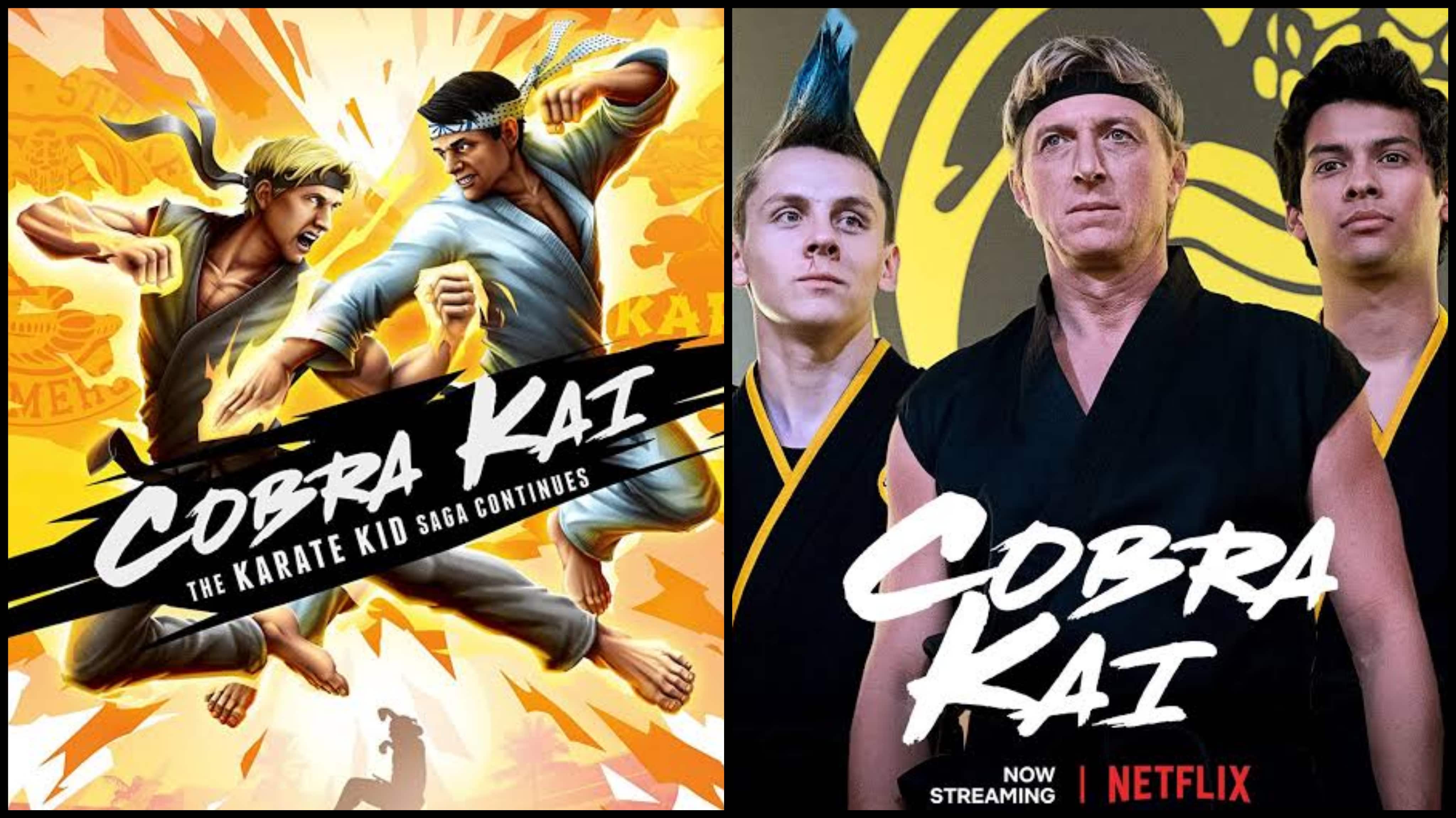 The Karate Kid: Cobra Kai  official trailer (2018) 