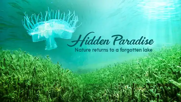 Hidden Paradise: Nature Returns to a Forgotten Lake
