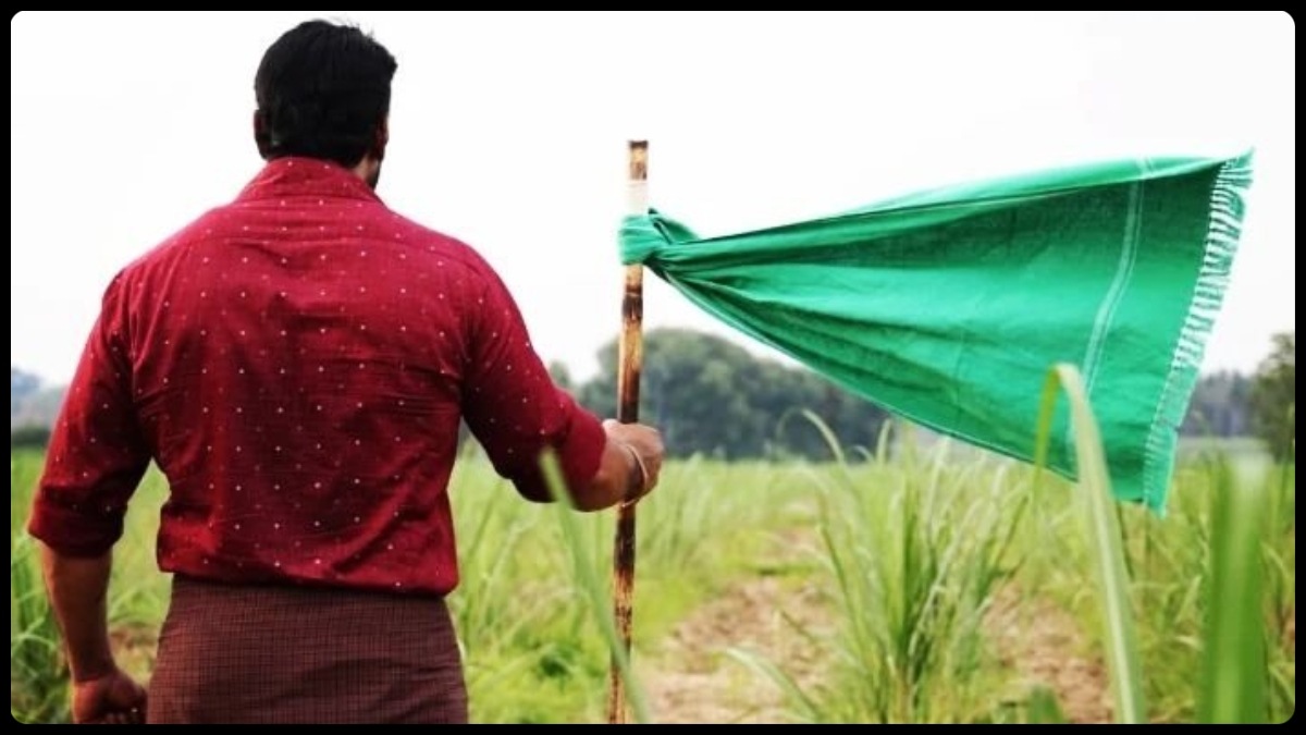 Challenging Star Darshan - Tharun Sudhir's film Kaatera to be a 2023 release?