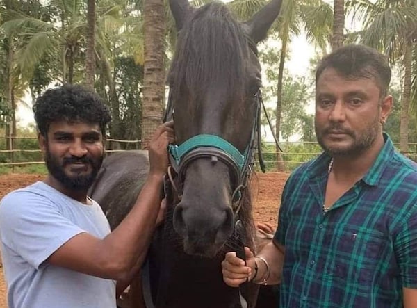 Darshan gets Chikkanna to share his love for animals