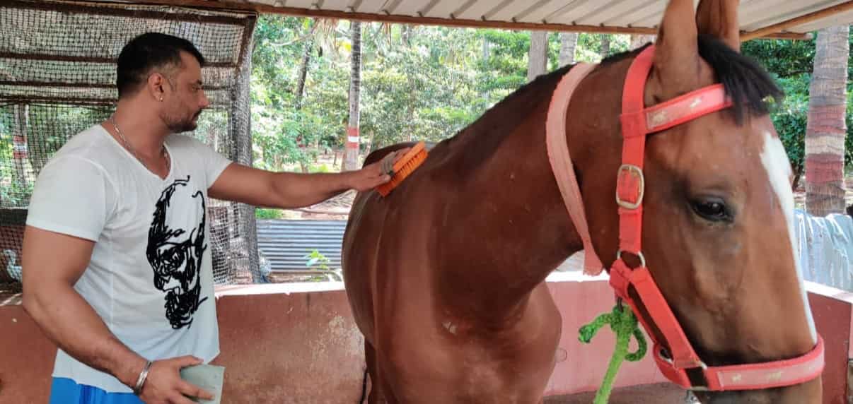 Darshan takes personal interest in upkeep of his animals