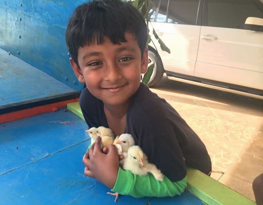 Darshan's son Vinish is just as passionate about animals as his father