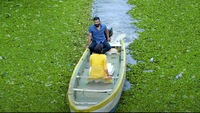 Beeso Gaali song: Vikram and Nitya enjoy marital bliss amid the greenery and backwaters of Kerala in Dear Vikram number