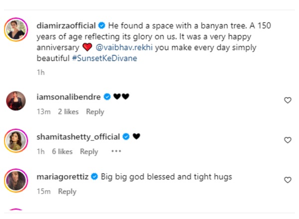 Dia Mirza's post reaction