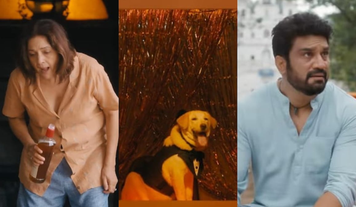 Dil Dosti Aur Dogs Trailer OUT: Neena Gupta, Sharad Kelkar's film has a 'paw'-some plot that every fur parent should watch