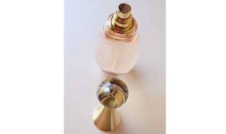 Charlize Theron earned $2 million a year to endorse ______'s "J'Adore" fragrance. Fill in the blank.