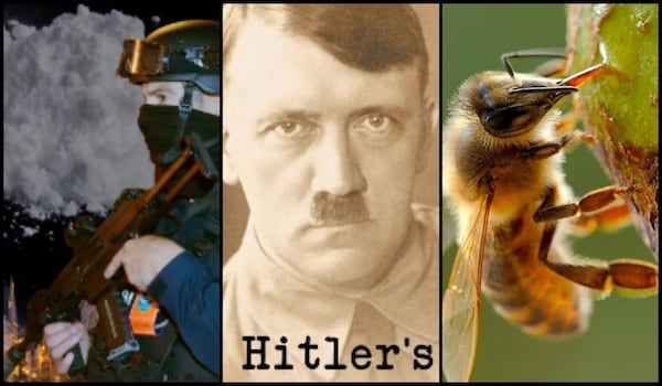 New on Docubay – From Bees The Invisible Mechanism to Hitler’s Last Secrets, here’s what to stream for a fascinating weekend
