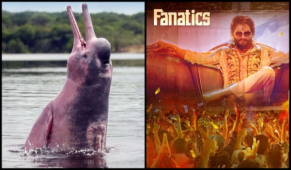 5 latest documentaries to stream on DocuBay right away