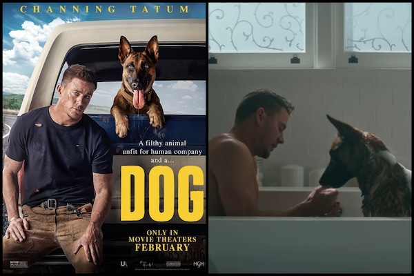 Dog trailer: Channing Tatum’s new buddy comedy features man’s best friend