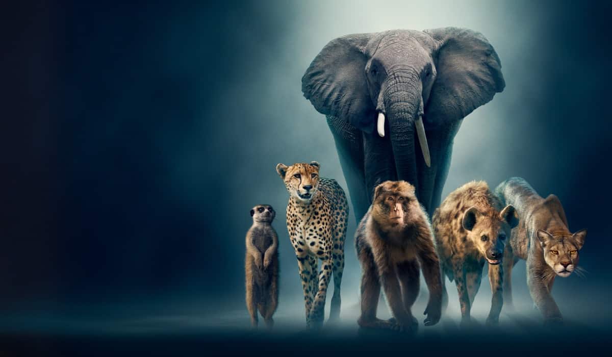 Celebrate World Wildlife Day with these powerful nature documentaries on OTT