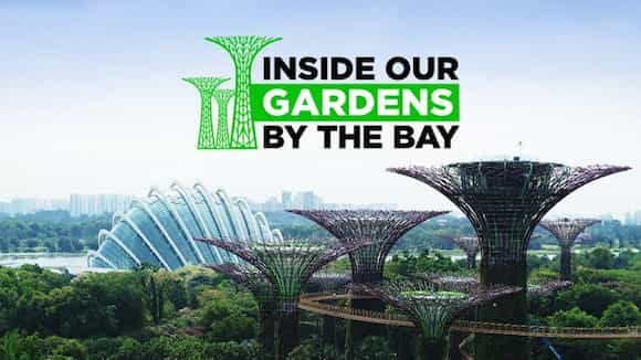 Inside Our Gardens By The Bay