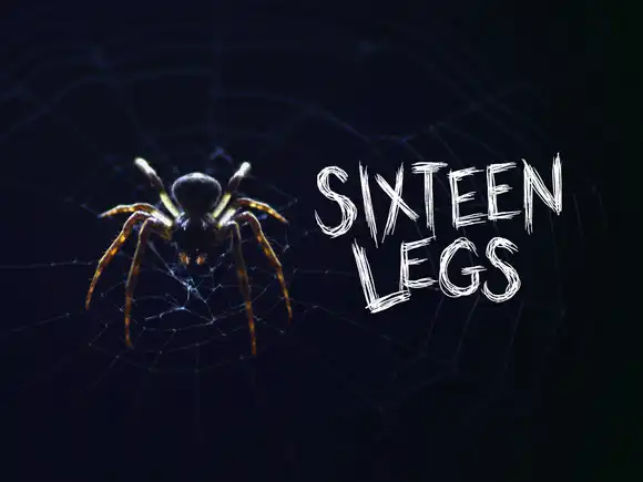 Sixteen Legs