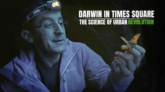 Darwin In Times Square: The Science Of Urban Evolution
