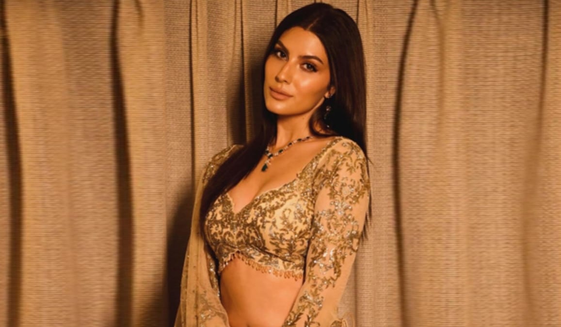 The Traitors: Who is Elnaaz Norouzi playing a sharp game in Karan Johar's show? All you need to know