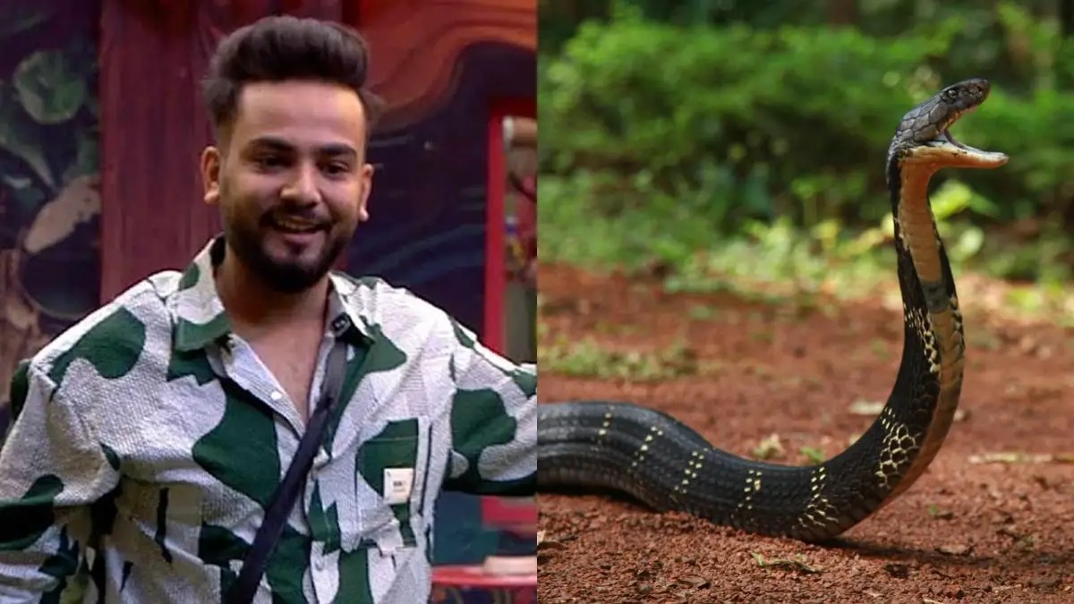 Bigg Boss OTT 2 winner Elvish Yadav accused of organizing rave parties; Noida police recover snake venom