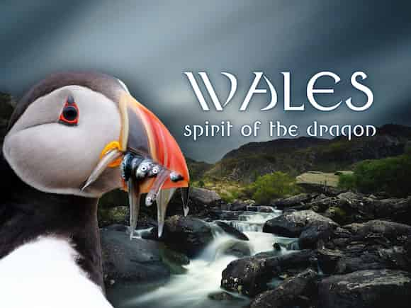 Wales: Spirit of the Dragon