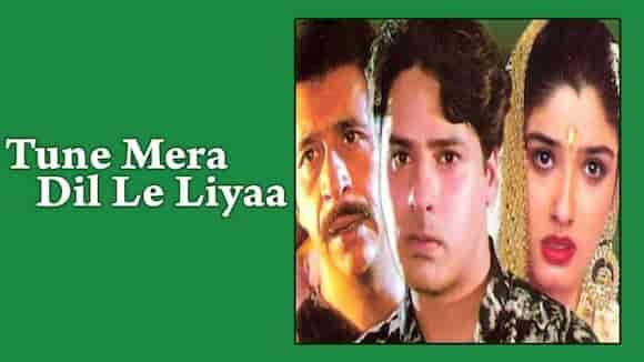 Tune Mera Dil Le Liya - Pinjara