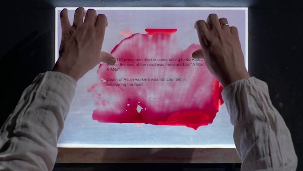 Flying Tigers by Madhusree Dutta. Promotional still. Courtesy Pong Film 2026