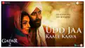 Udd Jaa Kaale Kaava from Gadar 2: Sunny Deol and Ameesha Patel bring back the nostalgic feels with a pinch of modern touch