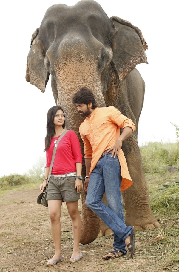 Yash was paired with Amulya in Gajakesari