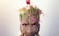 I Am Groot Season 2 2023: Release date, trailer, poster, plot, cast, OTT partner and more
