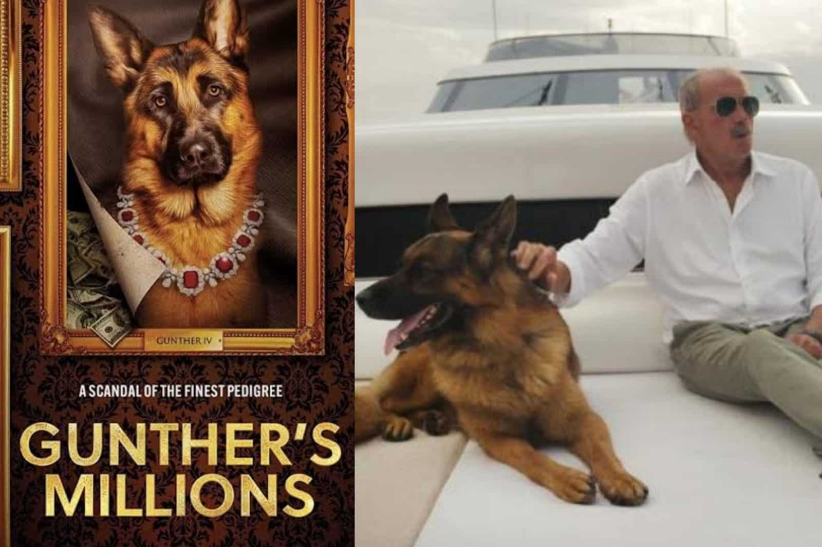 Gunther's Millions review: The wild tale of the dog worth millions, and his  even wilder caretaker, is as chaotic as it is intriguing