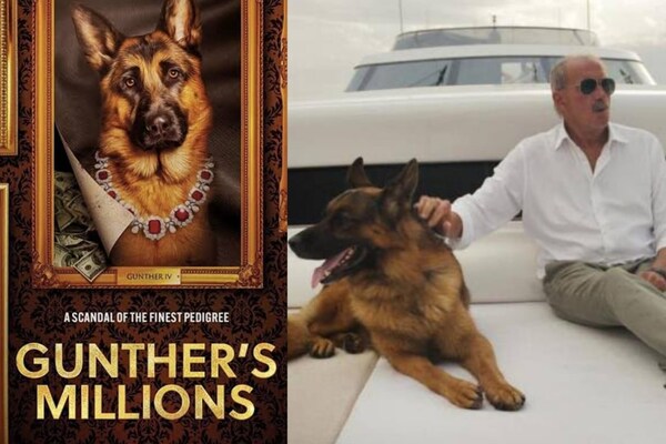 Gunther’s Millions review: The wild tale of the dog worth millions, and his even wilder caretaker, is as chaotic as it is intriguing