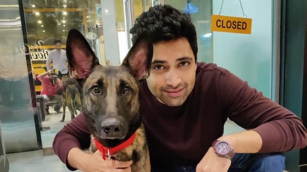 HIT 2: Director Sailesh Kolanu opens up on the crime universe, joins Adivi Sesh to announce teaser update