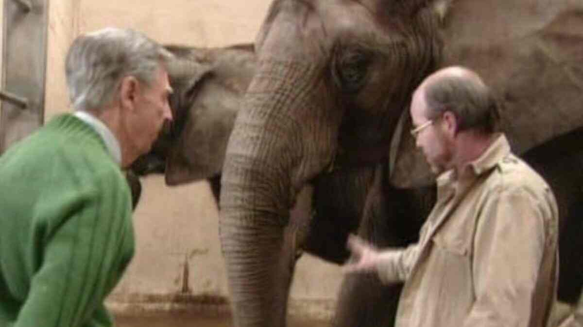 The ultimate quiz on Michael Keaton