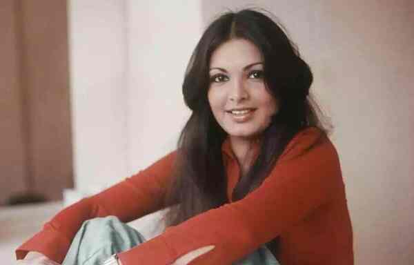 A mini-series on yesteryear star Parveen Babi soon