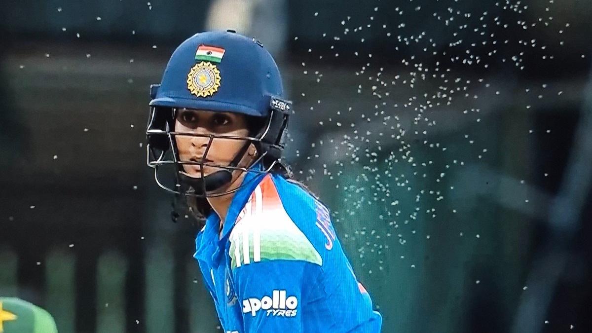 IND-W vs PAK-W LIVE: Bugs disrupt the match, fumigation used to resume play