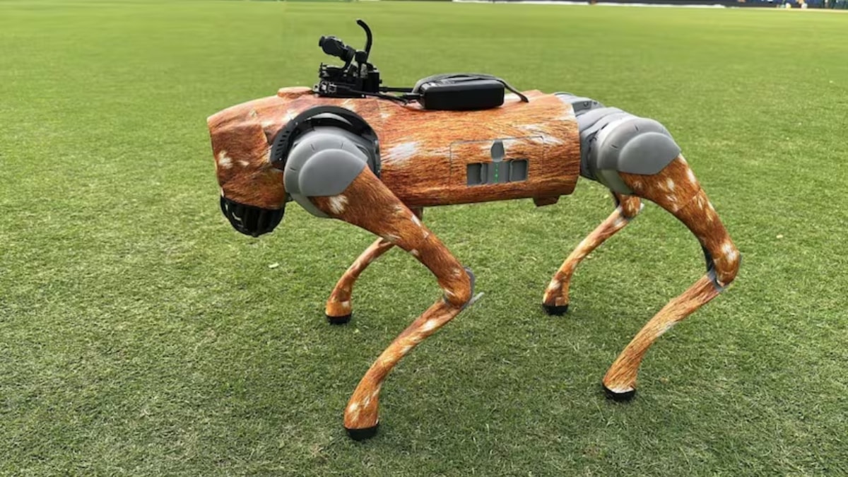 IPL 2025: Children's magazine sues BCCI for naming IPL robot dog 'CHAMPAK'