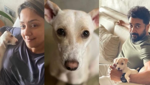 Jyothika, Suriya celebrate one year with street dog Kobe, defying adoption stigmas. Watch adorable video