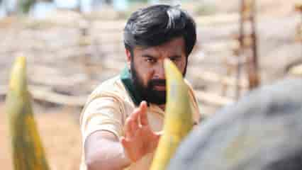 Kaari OTT release date: When and where to watch Sasikumar's action-packed rural drama online