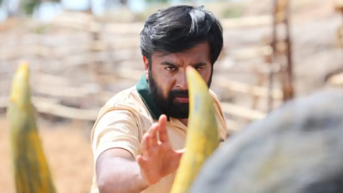 Kaari OTT release date: When and where to watch Sasikumar's action-packed rural drama online