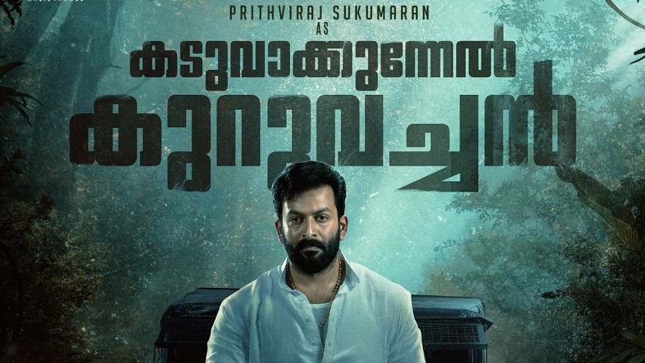 Kaduva poster