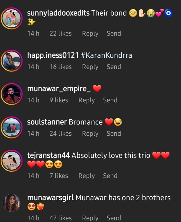 Karan Kundrra, Munawar Faruqui, Prince Narula.